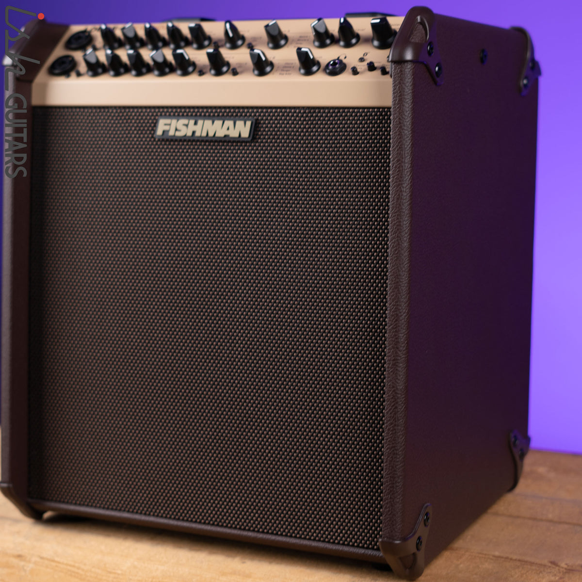 Fishman Loudbox Performer Acoustic Guitar Amplifier – Ish Guitars