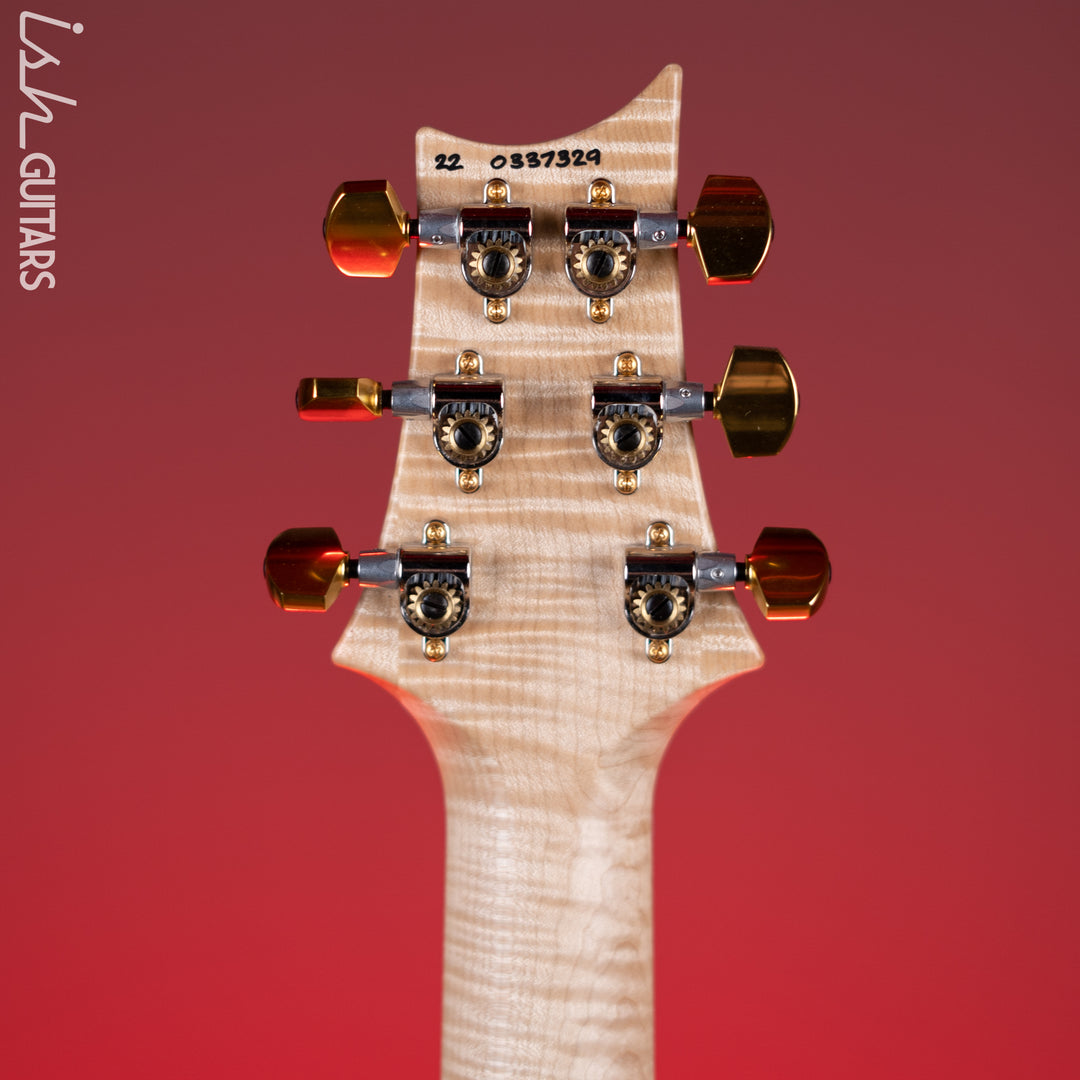 PRS Wood Library Modern Eagle V Satin Powder Blue