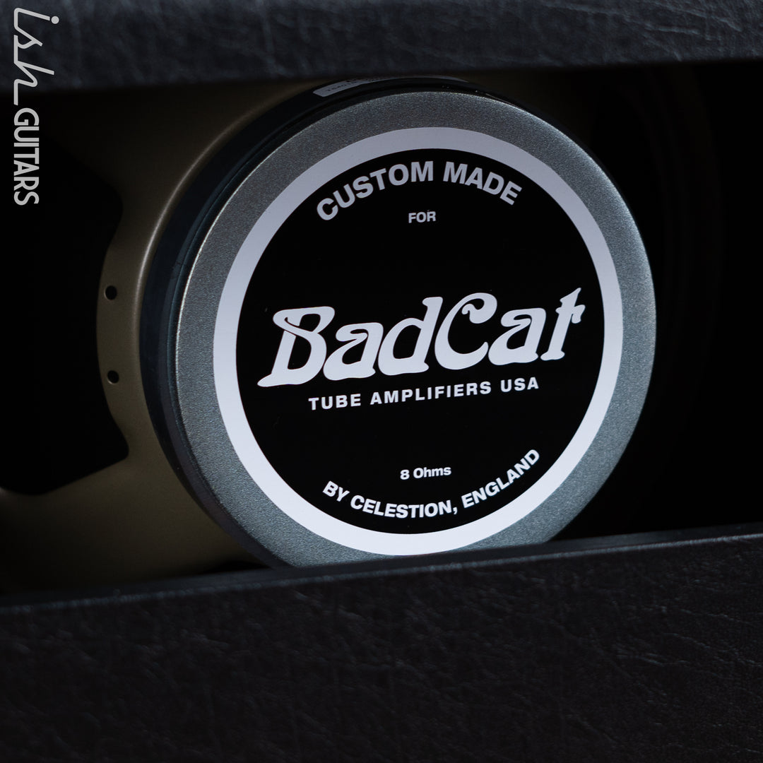 Bad Cat Cub 1x12 30W Tube Guitar Combo Amplifier Demo