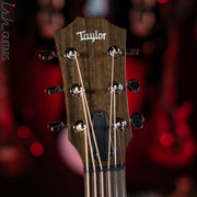 Taylor GTe Grand Theater Acoustic-Electric Guitar Blacktop Demo