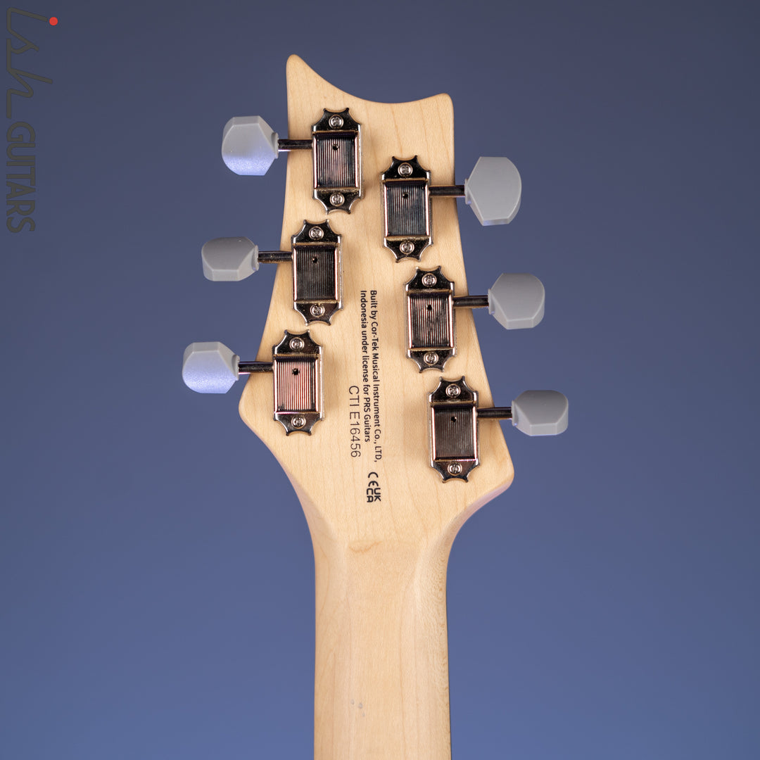 PRS SE Silver Sky Dragon Fruit Demo