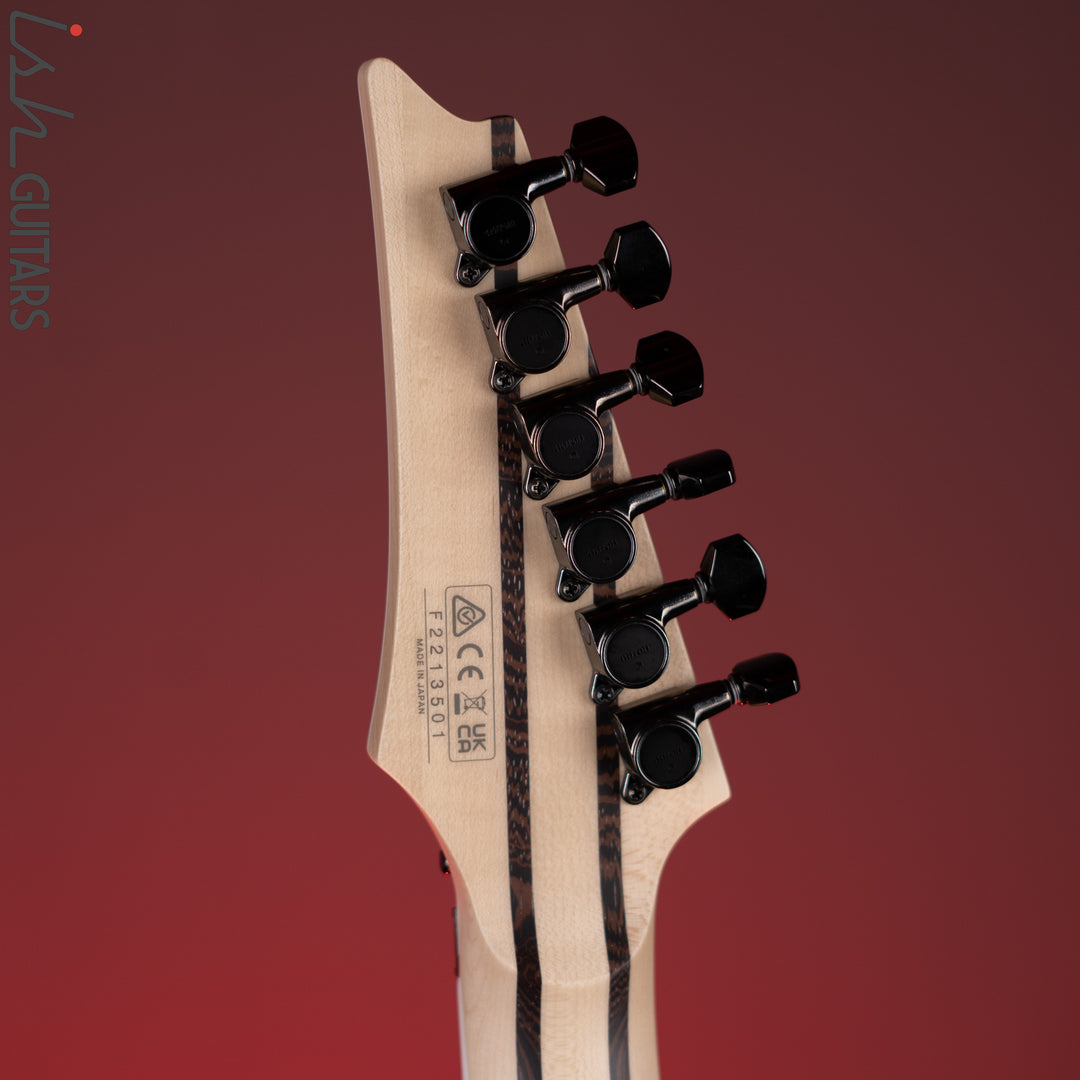 Ibanez Prestige RG5120M Electric Guitar Polar Lights Demo