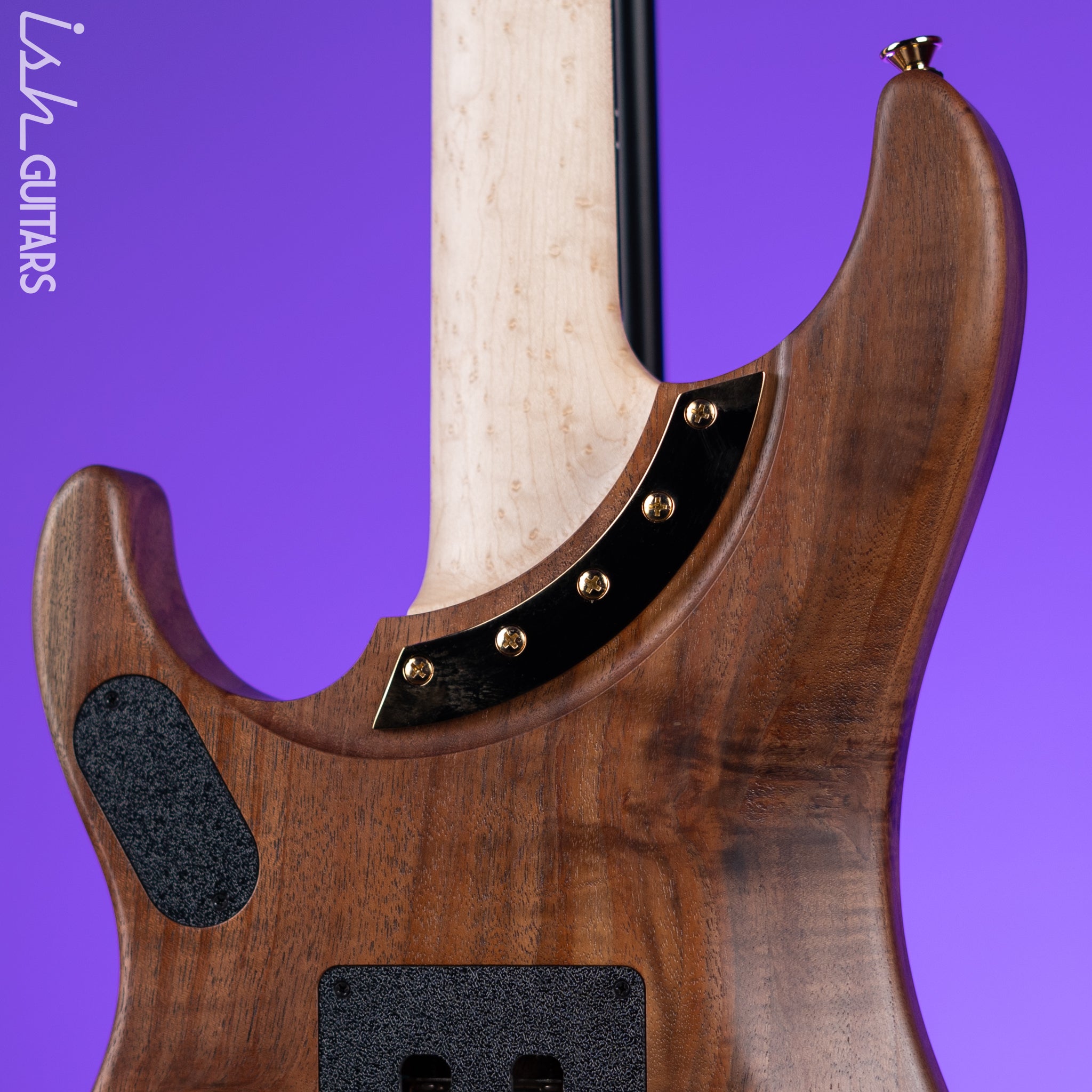 Washburn Limited Edition Nuno Bettencourt Signature Series N4