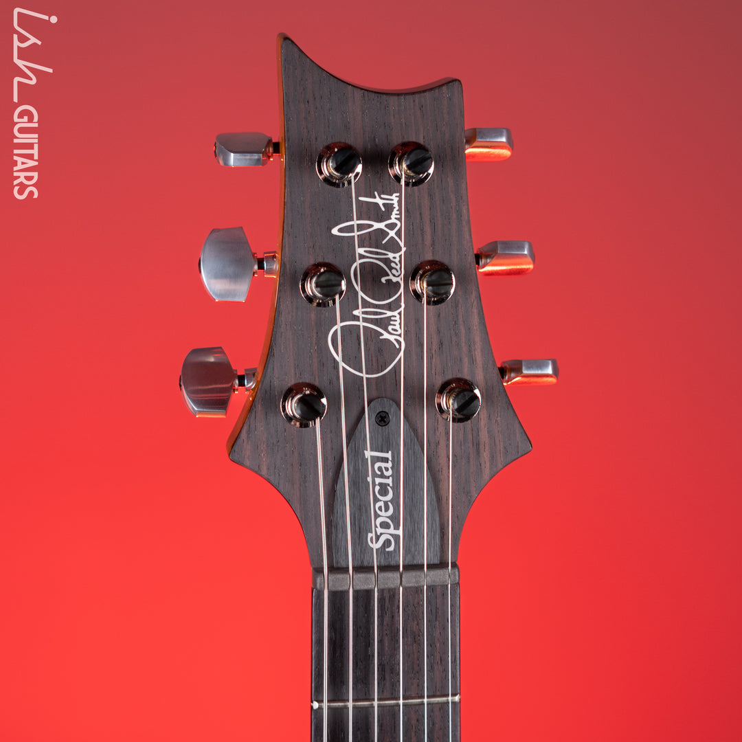 PRS Special 22 Semi-Hollow Electric Guitar Eriza Verde