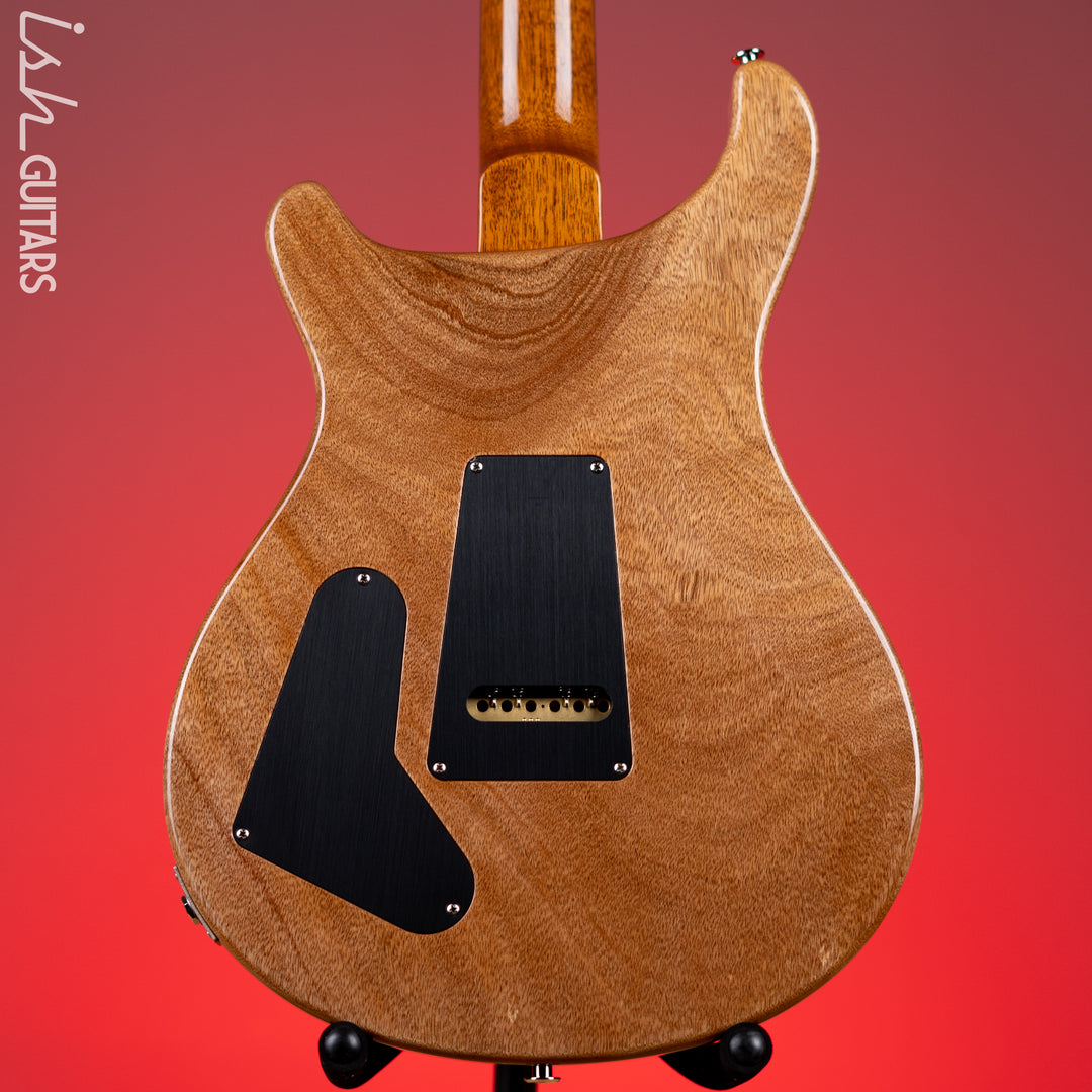 PRS Special 22 Semi-Hollow Electric Guitar Eriza Verde