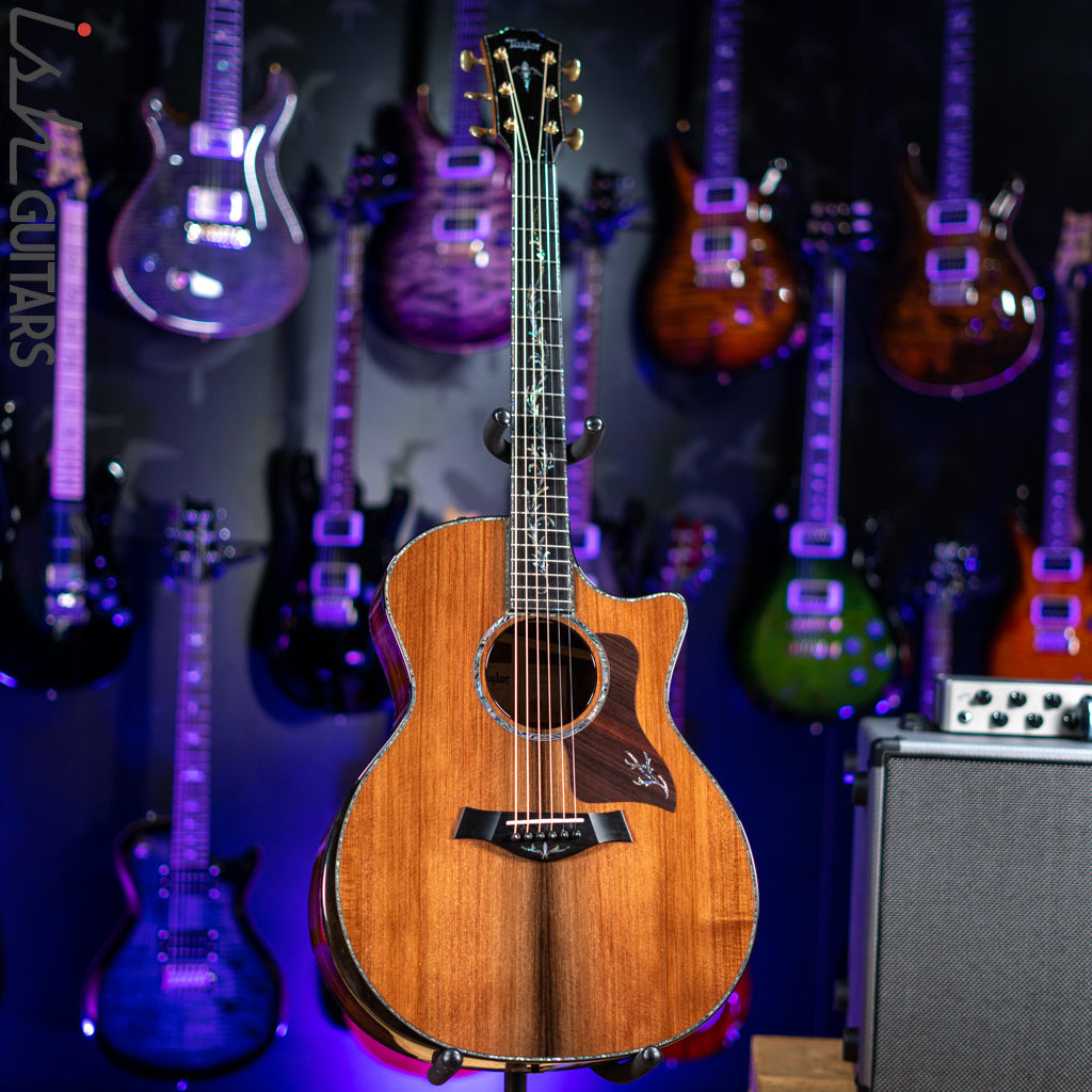Taylor PS14ce Acoustic-Electric Natural Honduran Rosewood