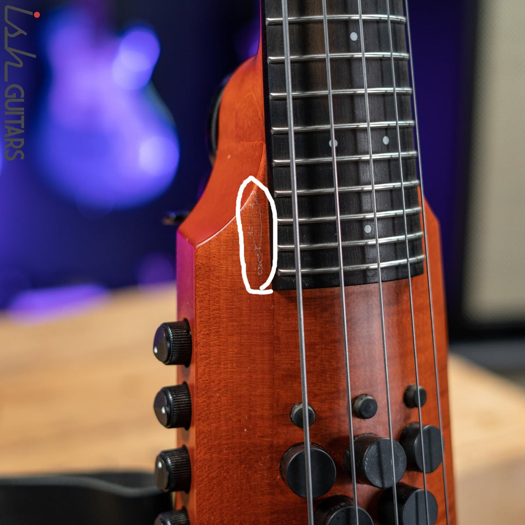 NS Design CR5 Fretted OMNI 5 String Stand up Bass