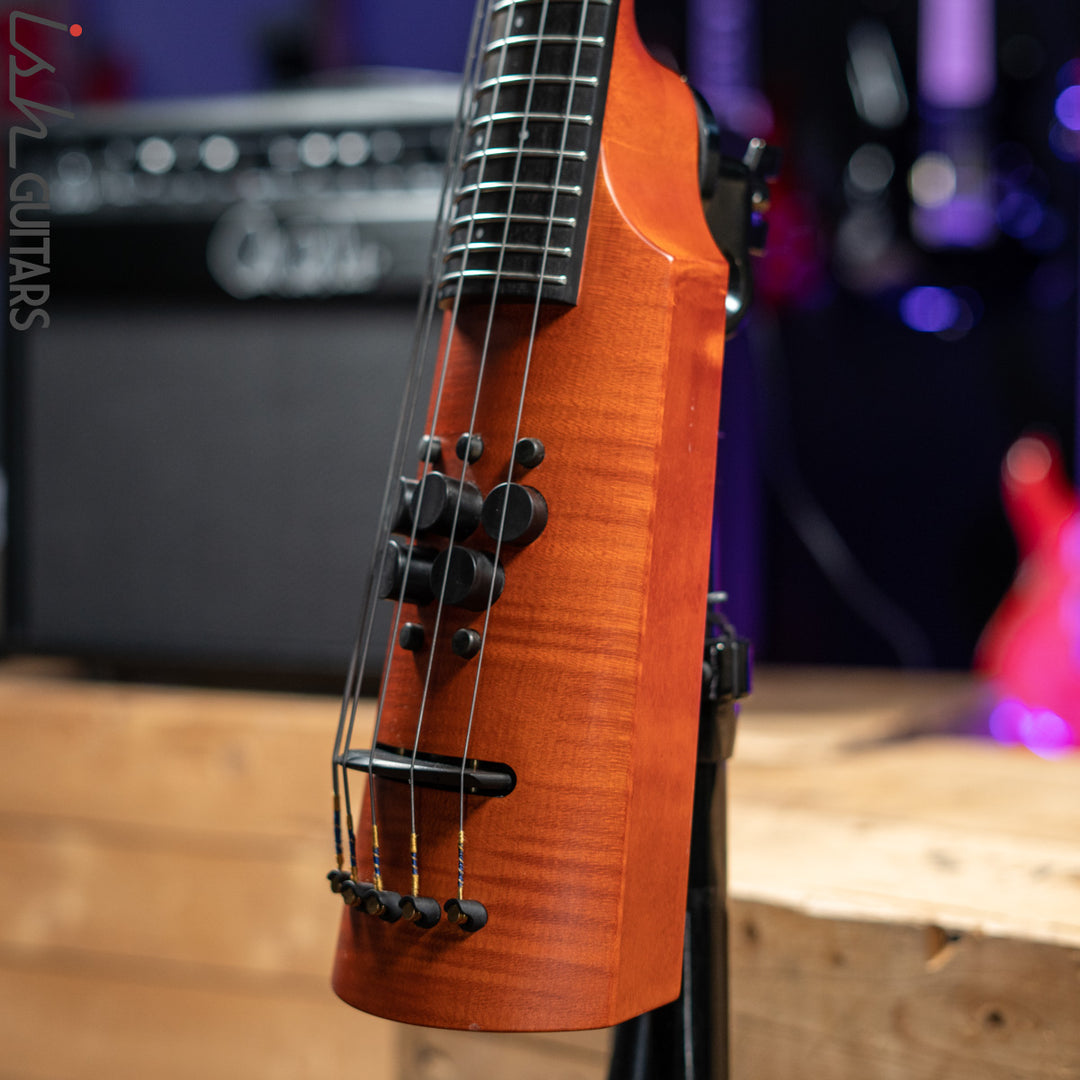 NS Design CR5 Fretted OMNI 5 String Stand up Bass