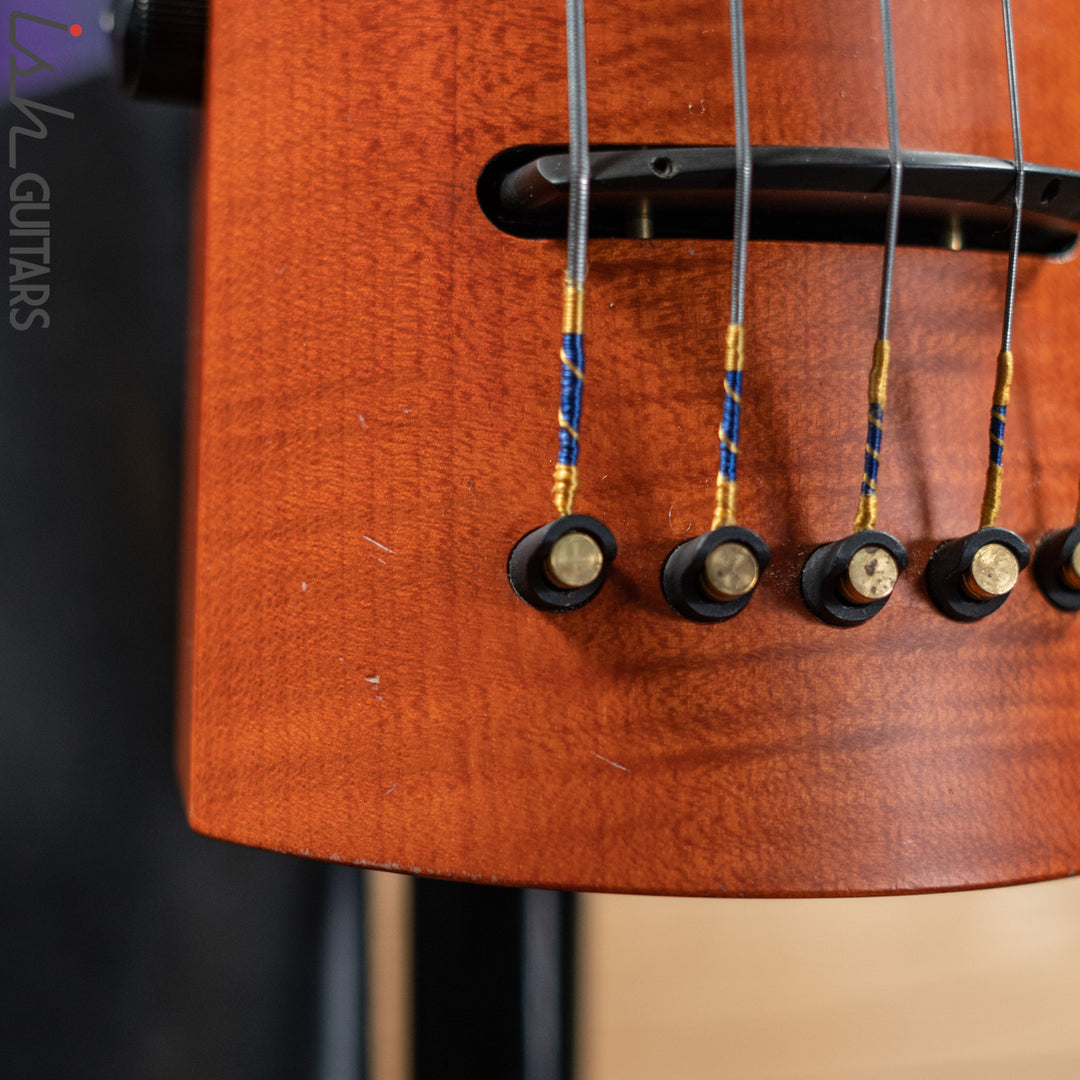 NS Design CR5 Fretted OMNI 5 String Stand up Bass