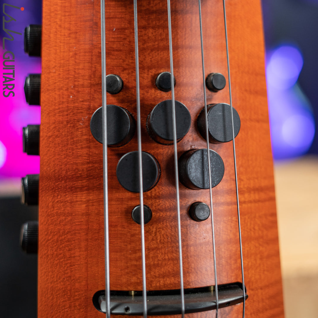 NS Design CR5 Fretted OMNI 5 String Stand up Bass