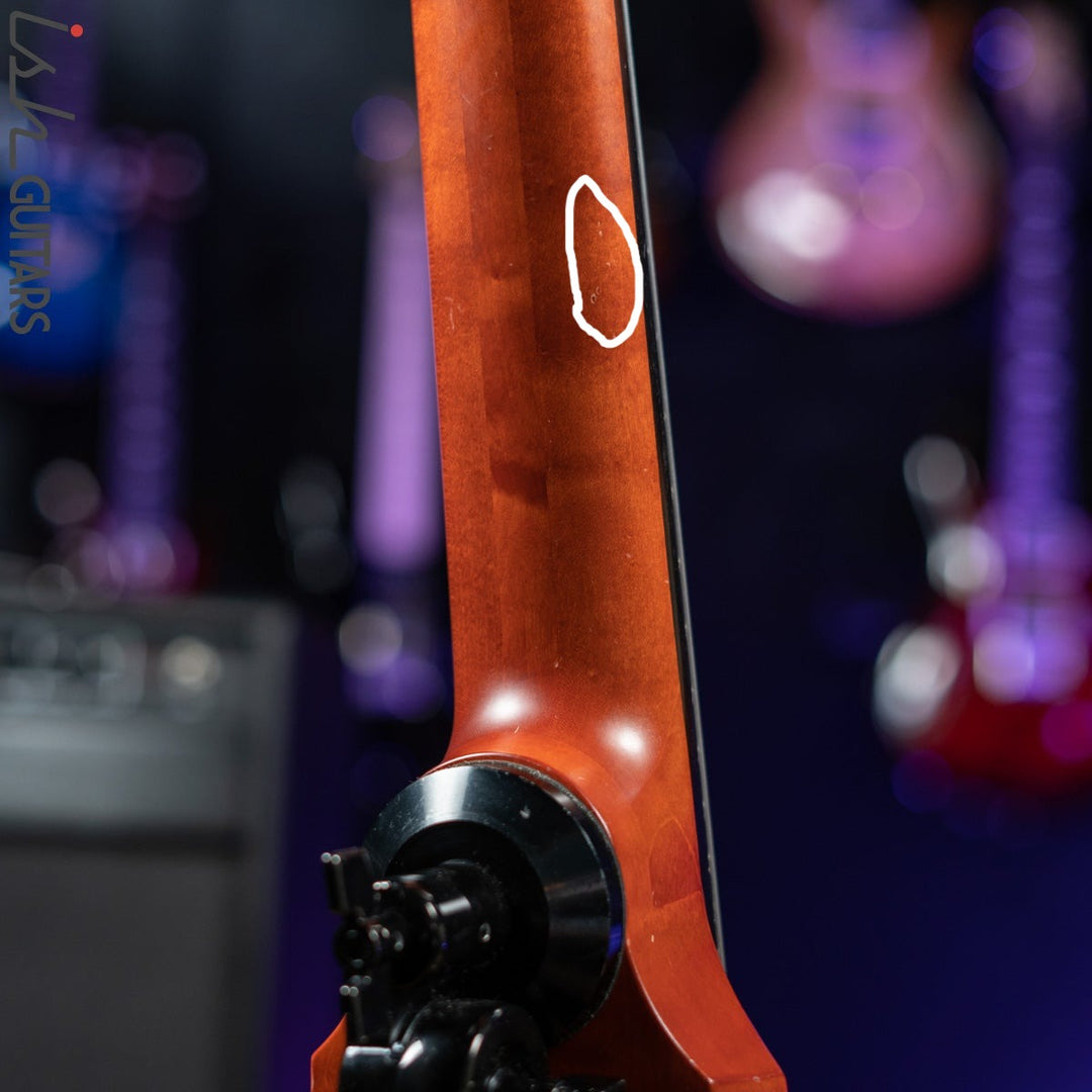 NS Design CR5 Fretted OMNI 5 String Stand up Bass