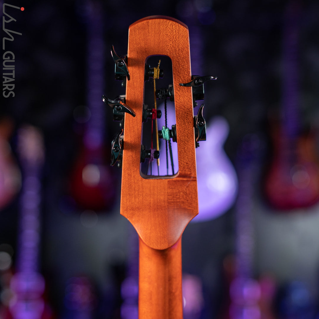NS Design CR5 Fretted OMNI 5 String Stand up Bass