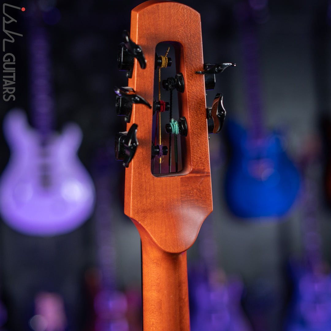 NS Design CR5 Fretted OMNI 5 String Stand up Bass