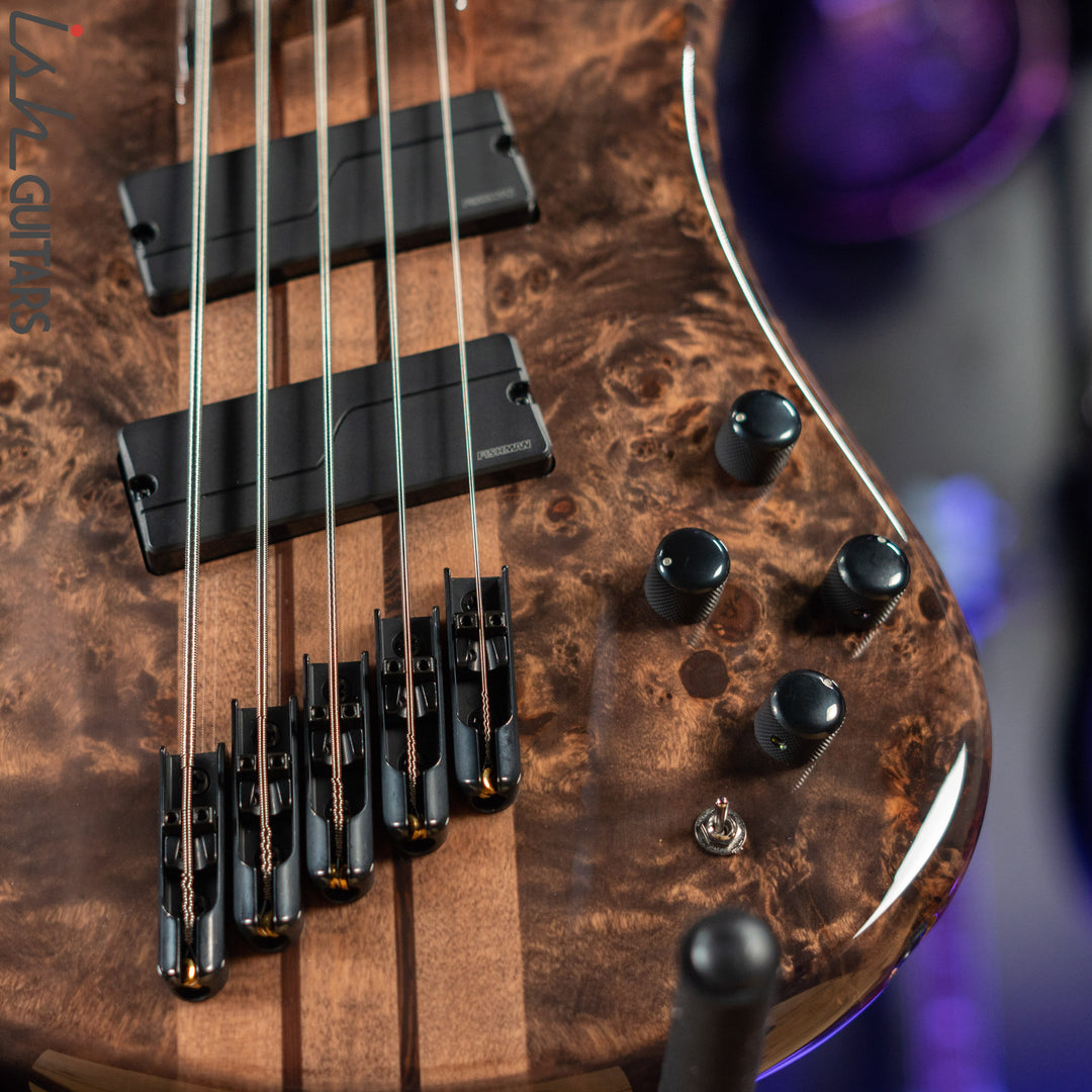 Spector NS Dimension 5 Multi-Scale Super Faded Black Gloss