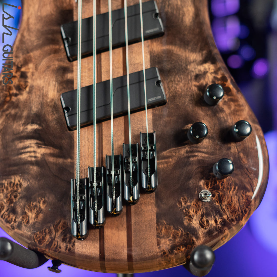 Spector NS Dimension 5 Multi-Scale Super Faded Black Gloss