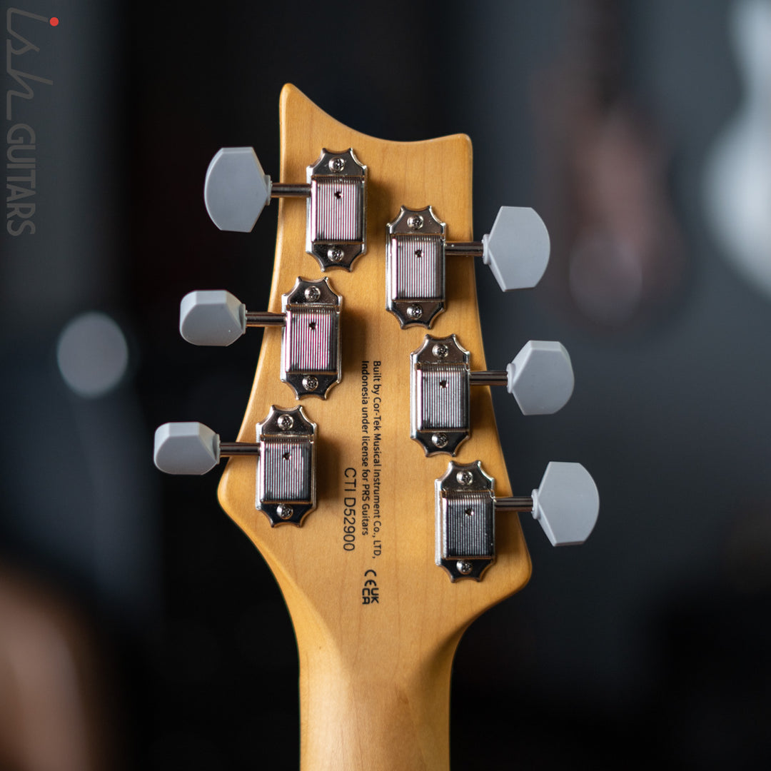 PRS SE Silver Sky Dragon Fruit
