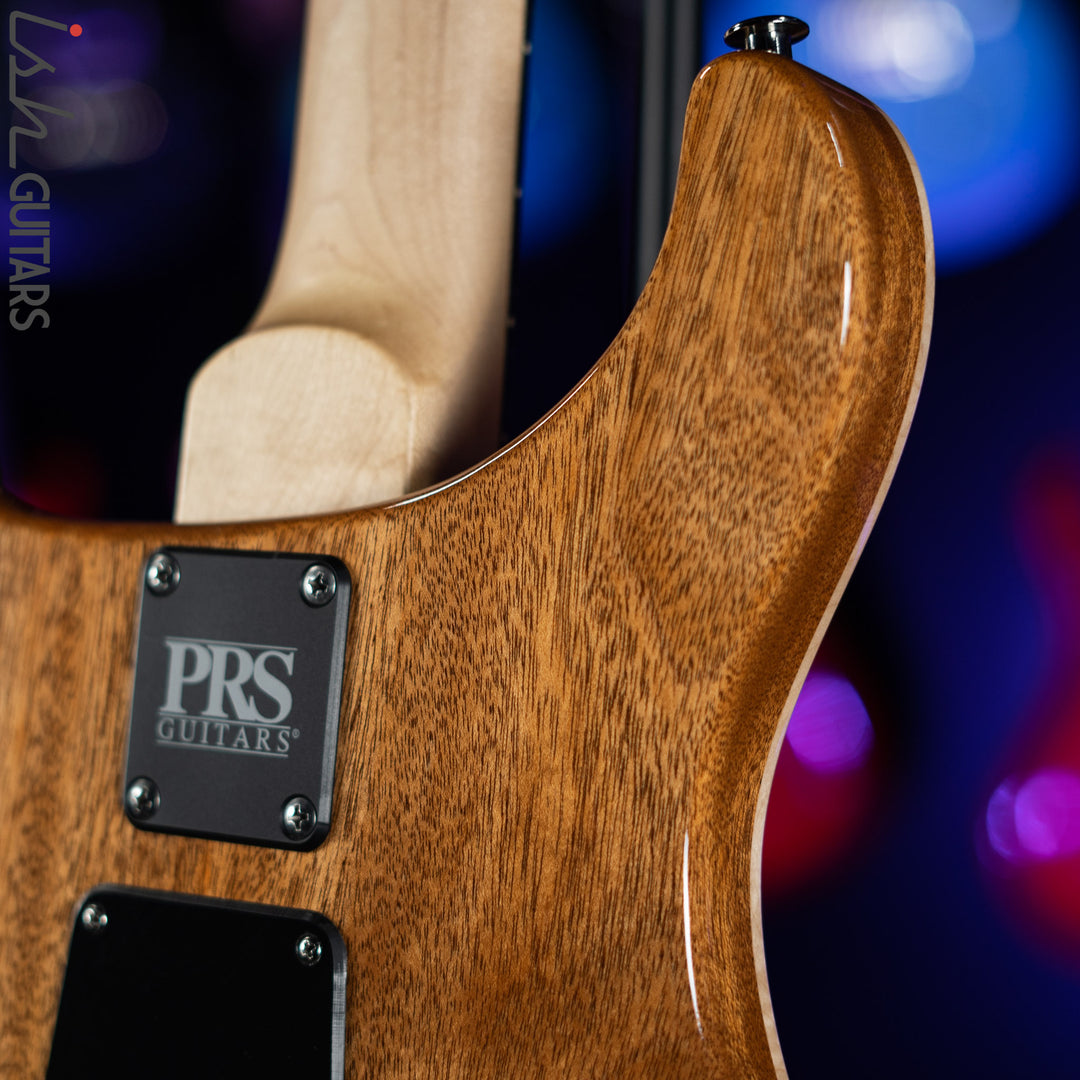 PRS CE 24 Semi-Hollow Eriza Verde