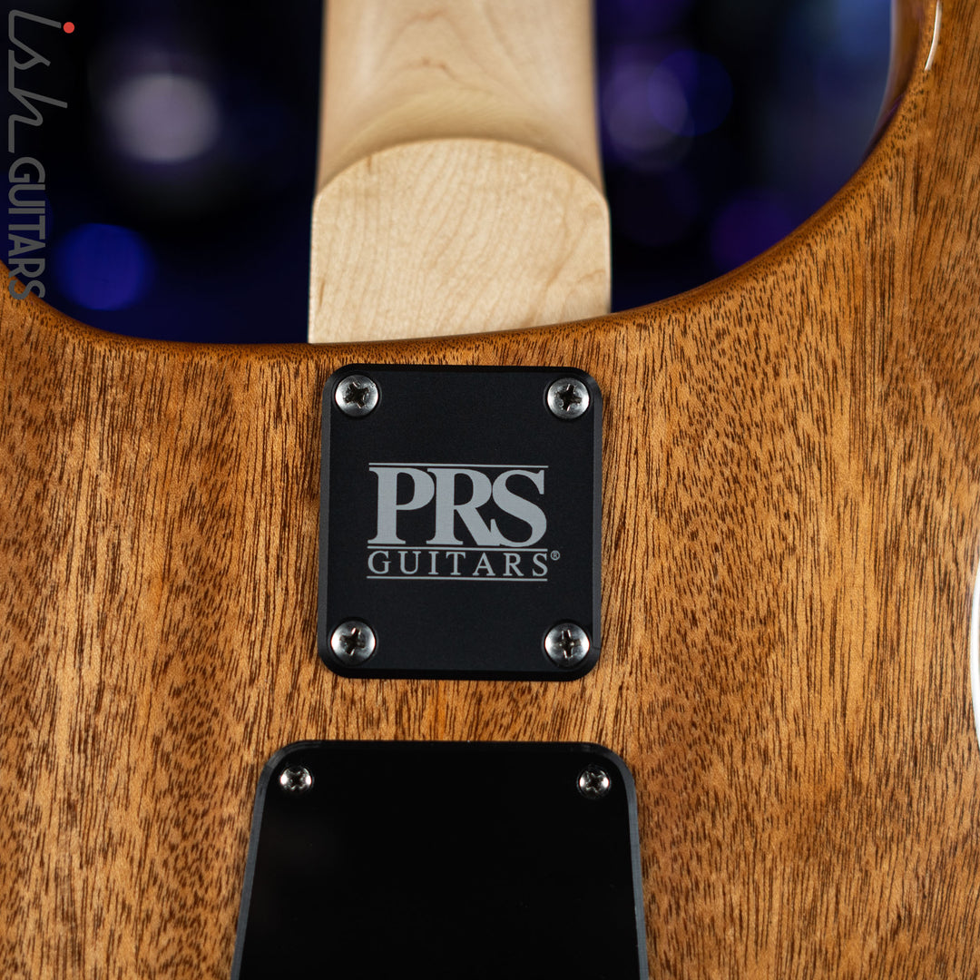 PRS CE 24 Semi-Hollow Eriza Verde