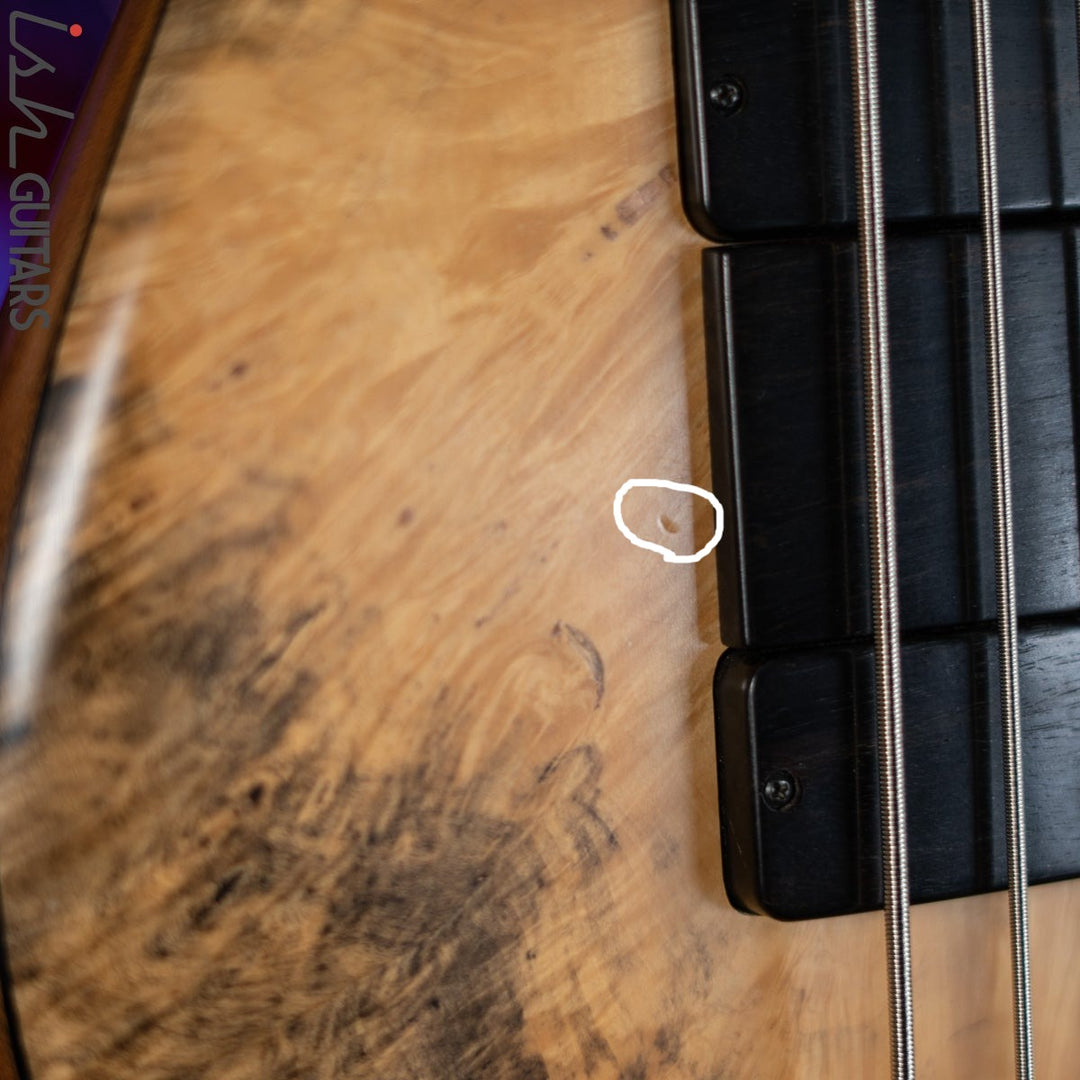 2006 Fodera Beez Elite 6 Singlecut 6-String Bass Natural Buckeye Burl