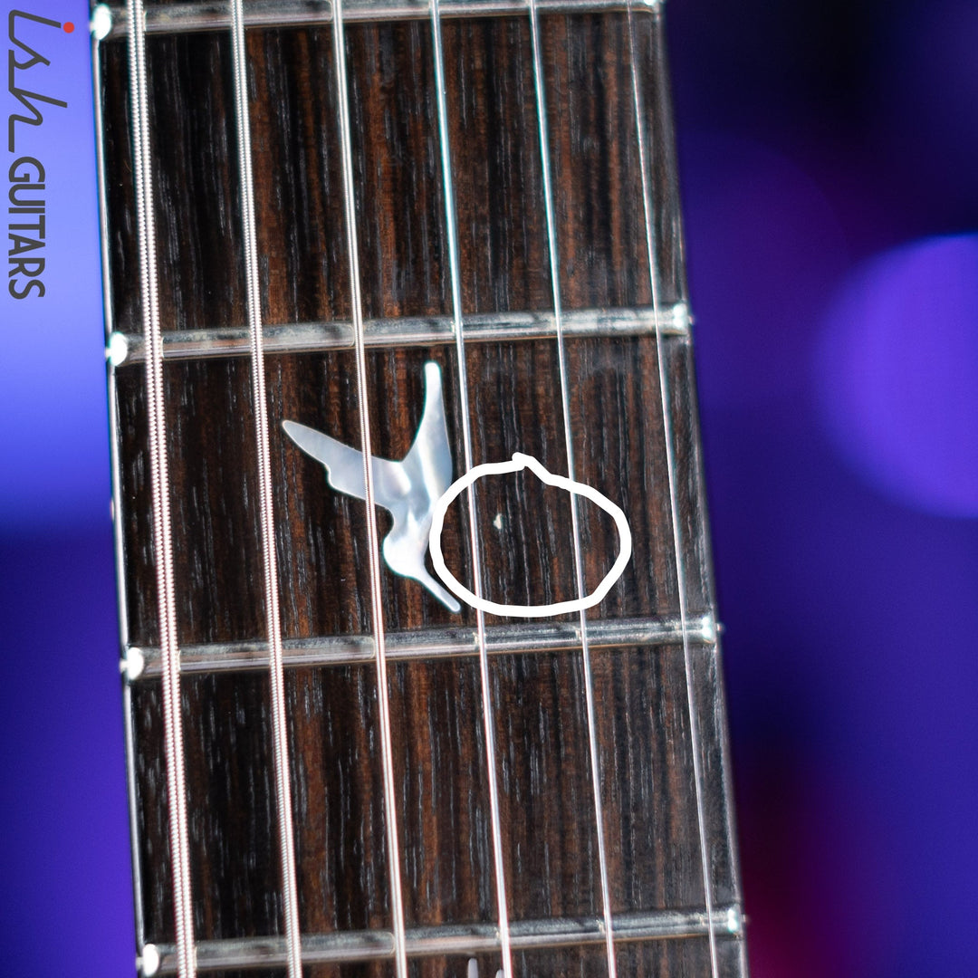 2010 PRS Custom 24 Private Stock 