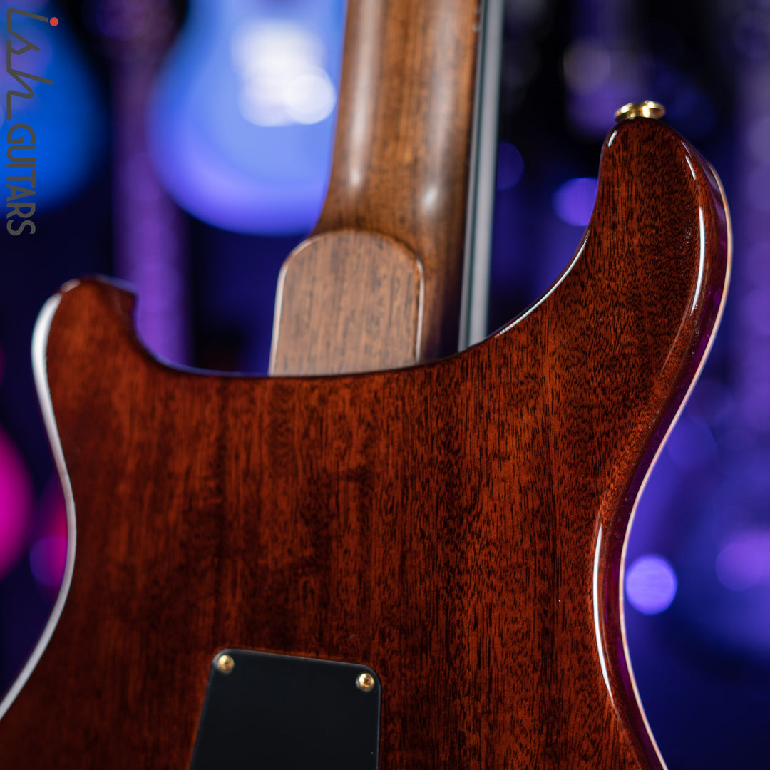 PRS Custom 22 Private Stock Tiger Eye Smoked Burst Birds On A Wire