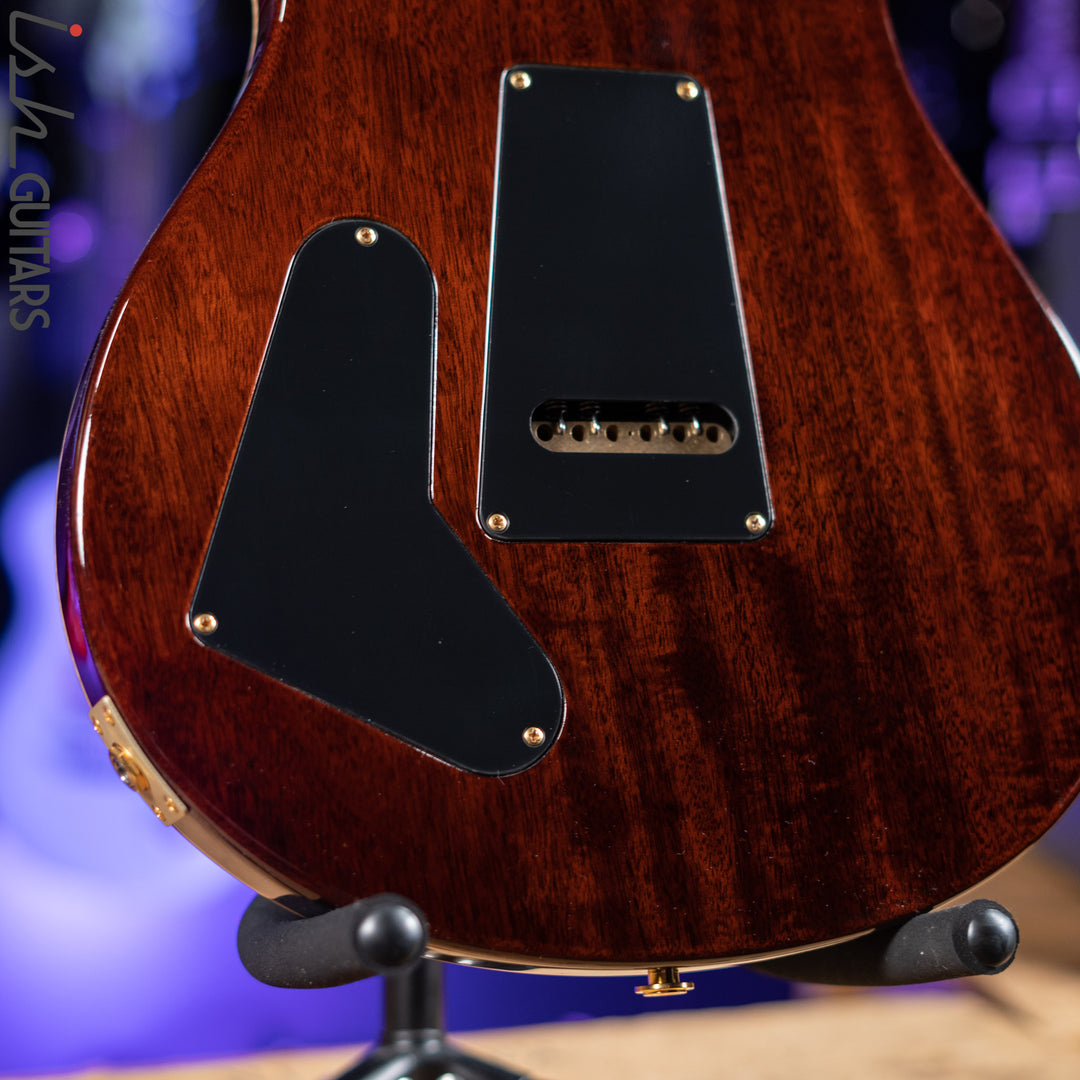 PRS Custom 22 Private Stock Tiger Eye Smoked Burst Birds On A Wire