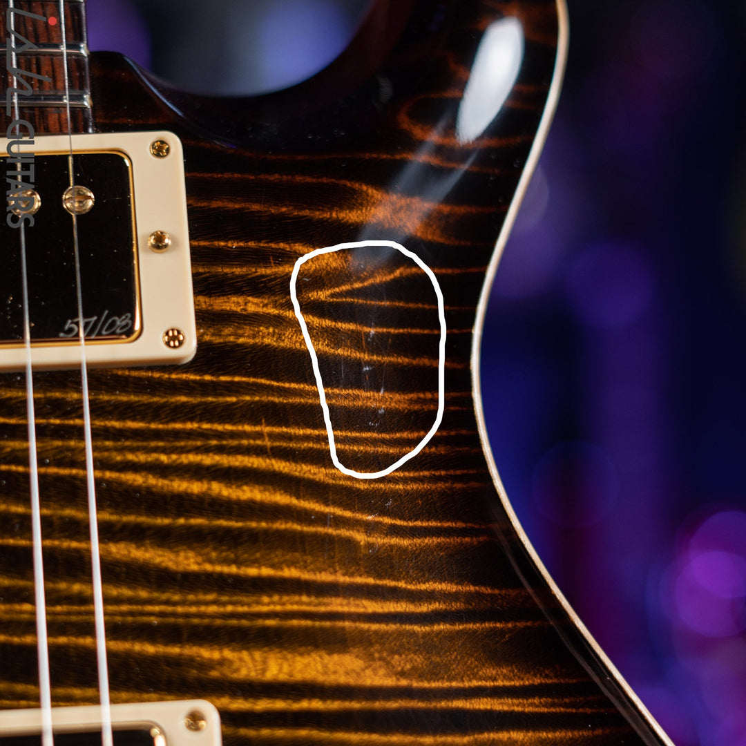 PRS Custom 22 Private Stock Tiger Eye Smoked Burst Birds On A Wire