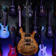 PRS Wood Library Custom 24 Autumn Sky 10 Top Quilt Figured Maple Neck
