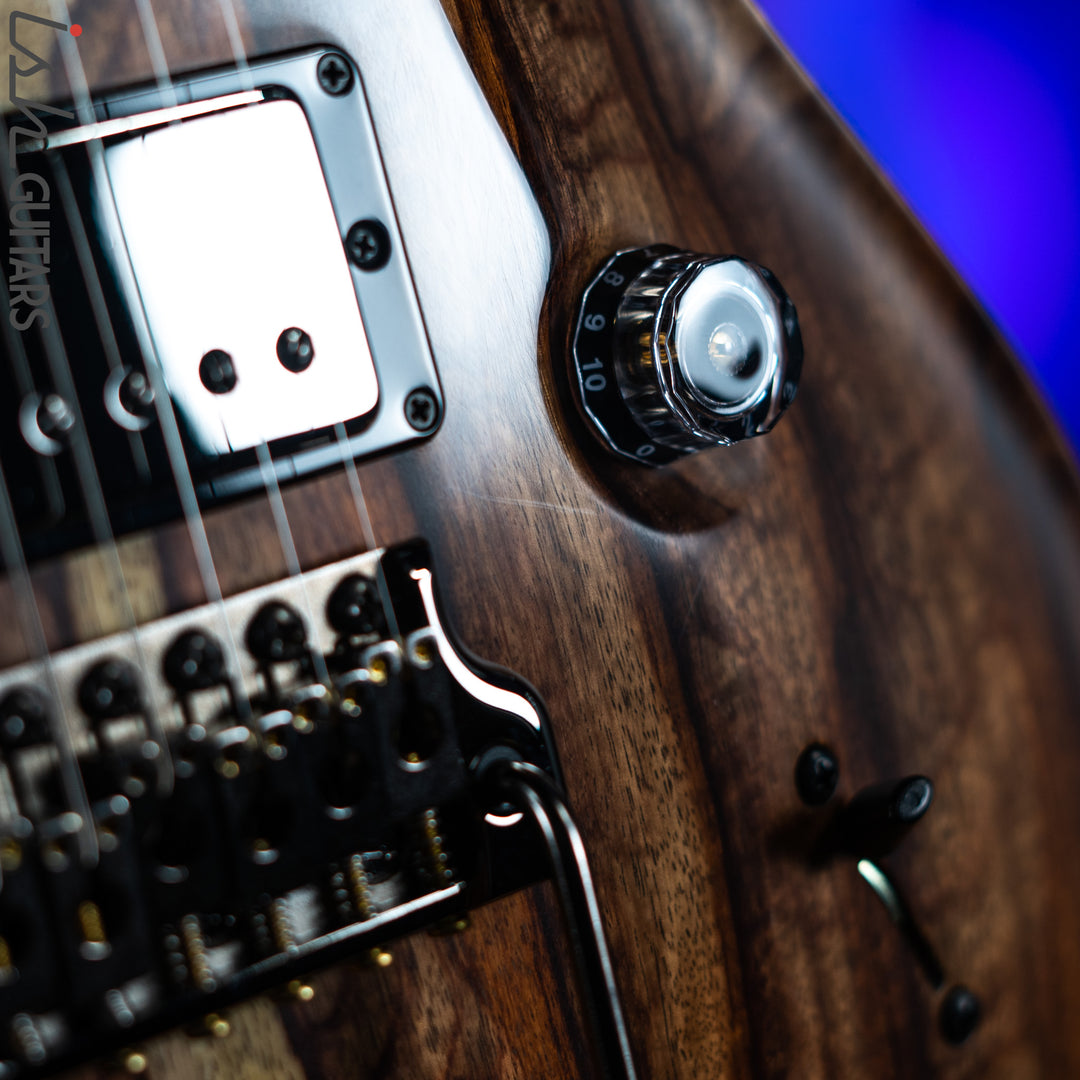 2021 PRS Custom 24 Semi-Hollow Private Natural Hormigo