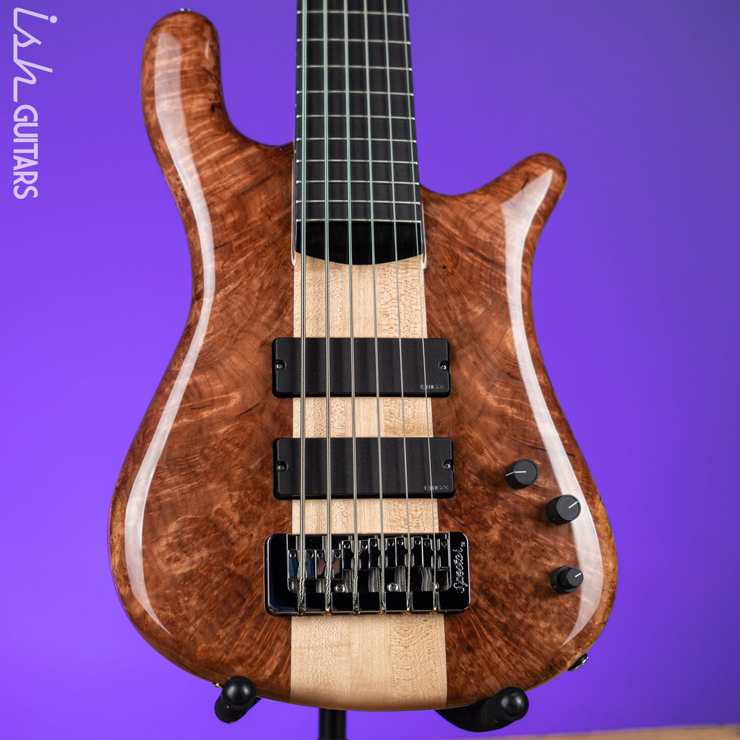 Spector NS-6 Natural Maple Burl High Gloss