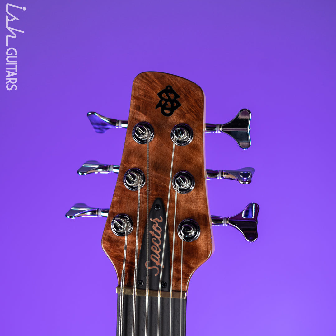 Spector NS-6 Natural Maple Burl High Gloss