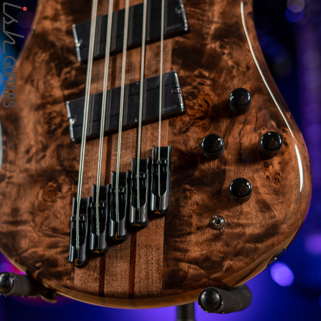 Spector NS Dimension 5 Multi-Scale Super Faded Black Gloss