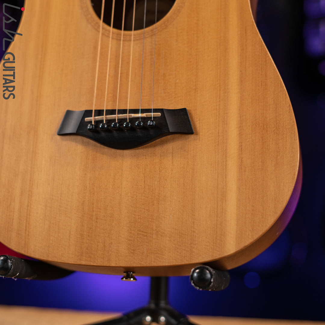2010 Taylor 301 GB Natural