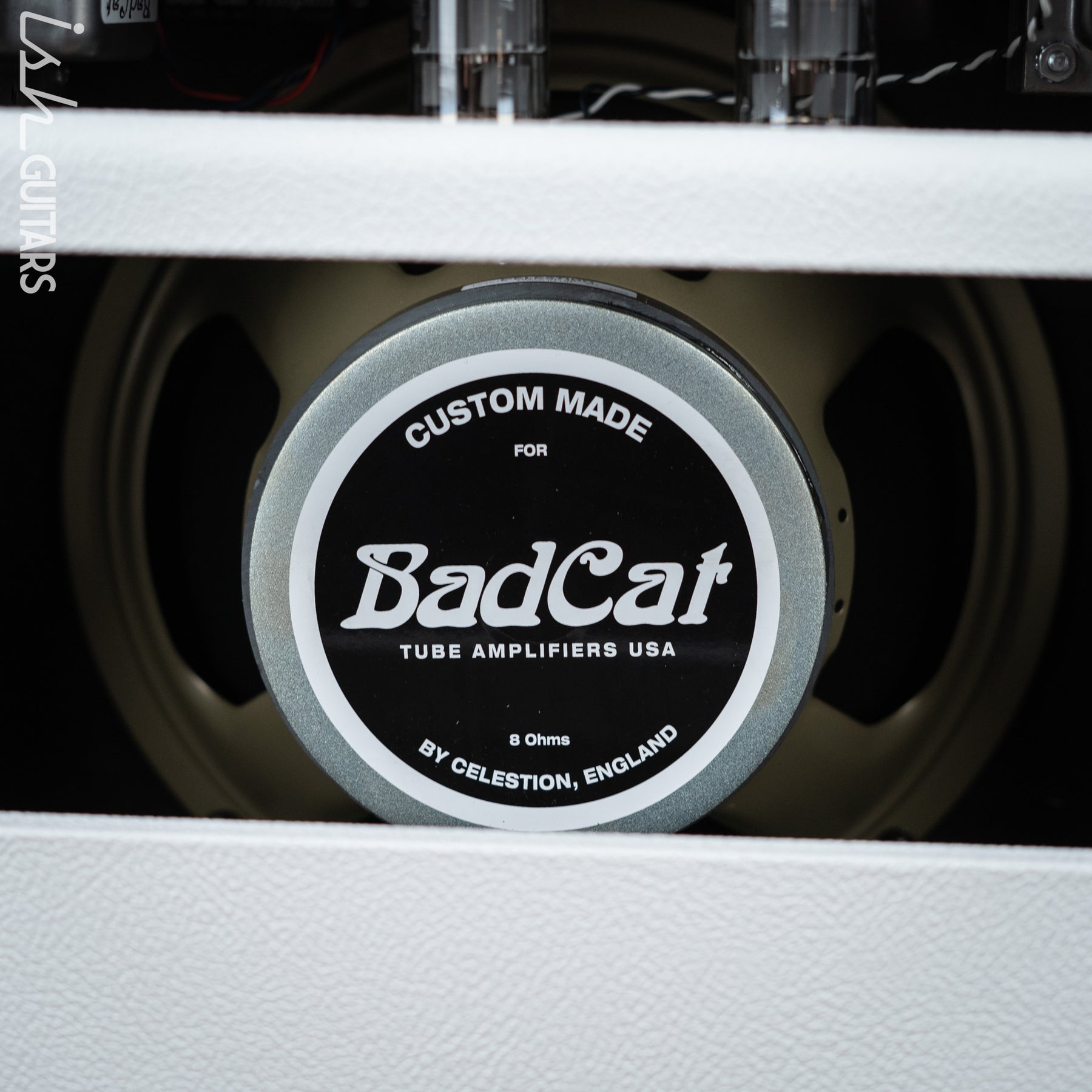 Verão Badcat 2022 - Bad Cat
