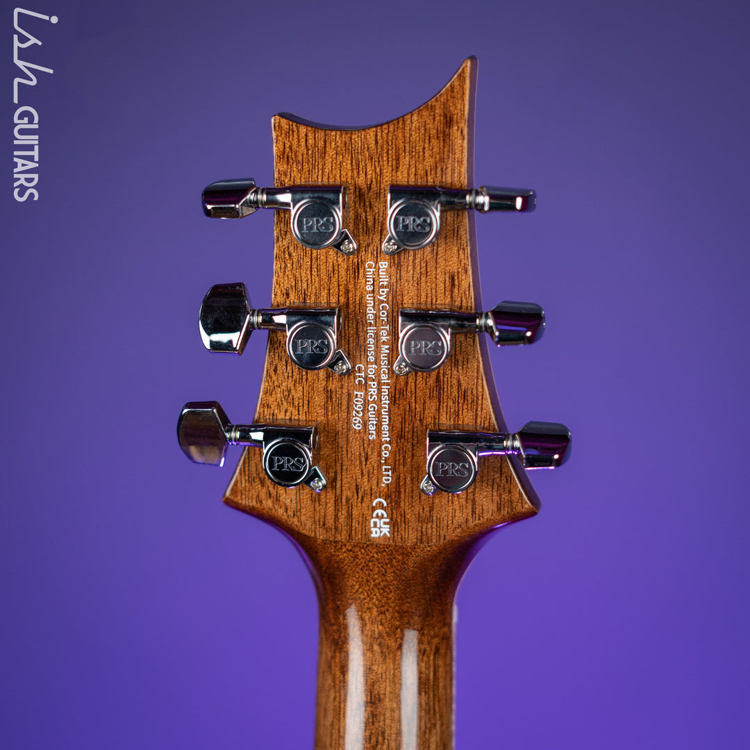 PRS SE A60E Angelus Acoustic Electric Guitar Ziricote