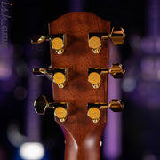 Alvarez Yairi DY1TS Stage Dreadnaught Cutaway Acoustic/Electric