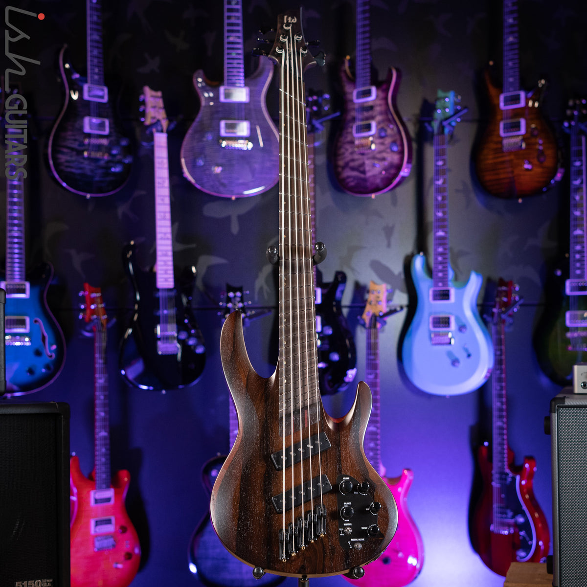 ESP LTD B1005MS Multi-Scale 5-String Bass Ziricote Top Natural