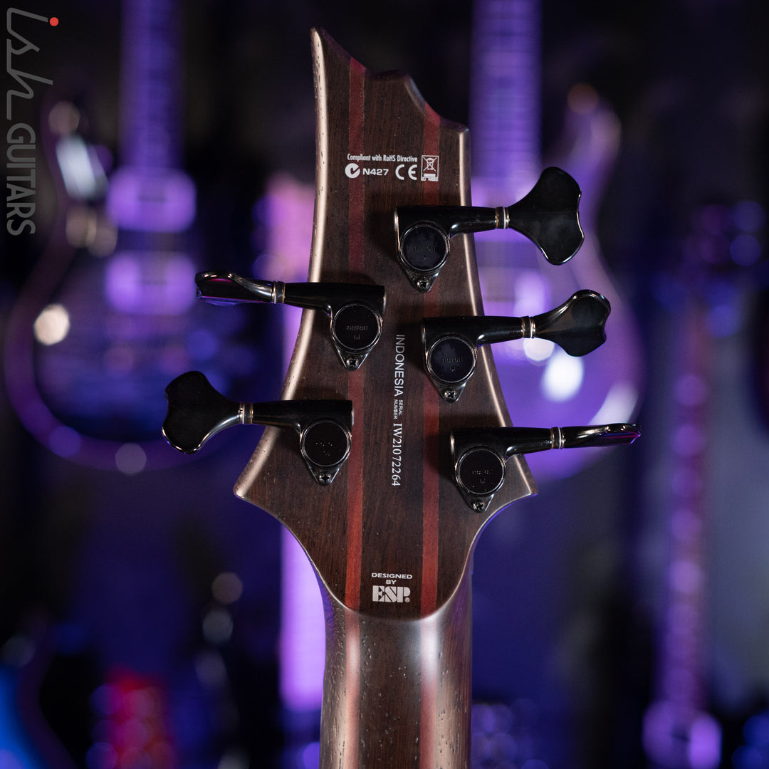 ESP LTD B1005MS Multi-Scale 5-String Bass Ziricote Top Natural Satin Demo