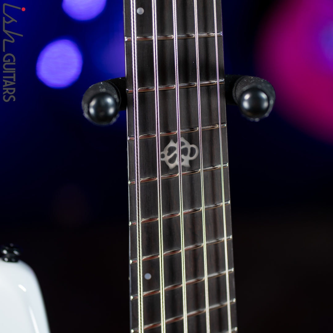 Ish X Spector NS Dimension 5 String EMG Darkglass White Gloss DEMO