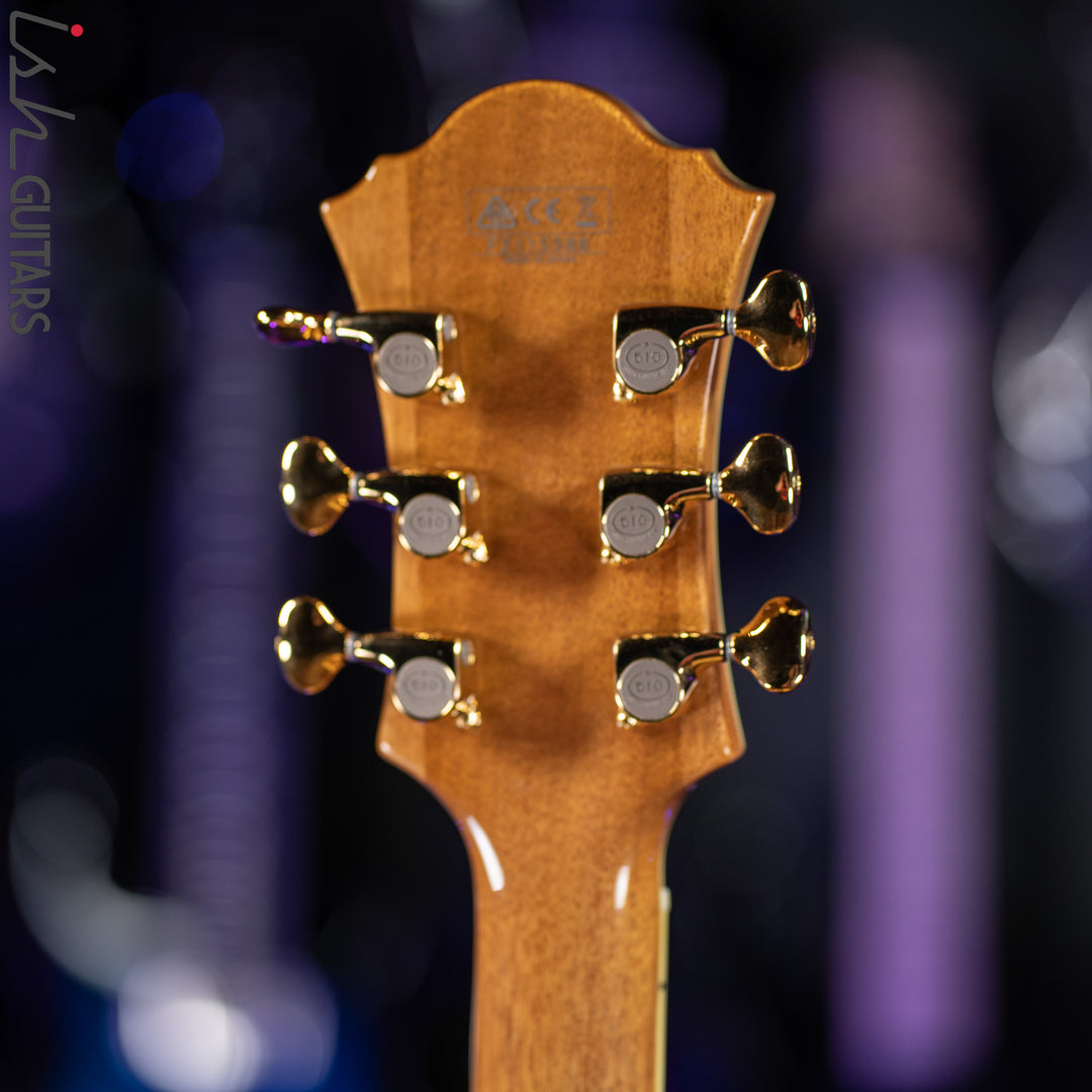 Ibanez PM200 Pat Metheny Signature Hollowbody Natural