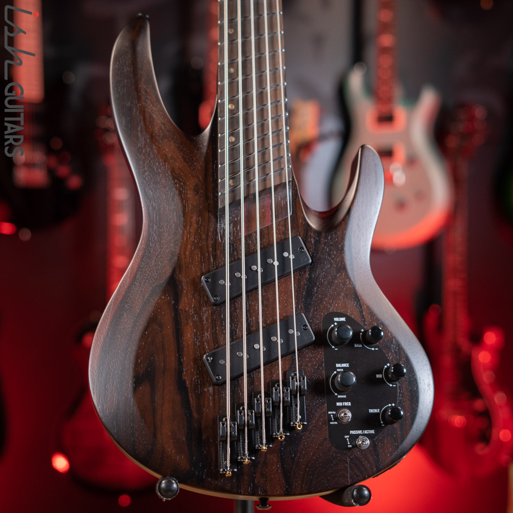 ESP LTD B1005MS Multi-Scale 5-String Bass Ziricote Top Natural