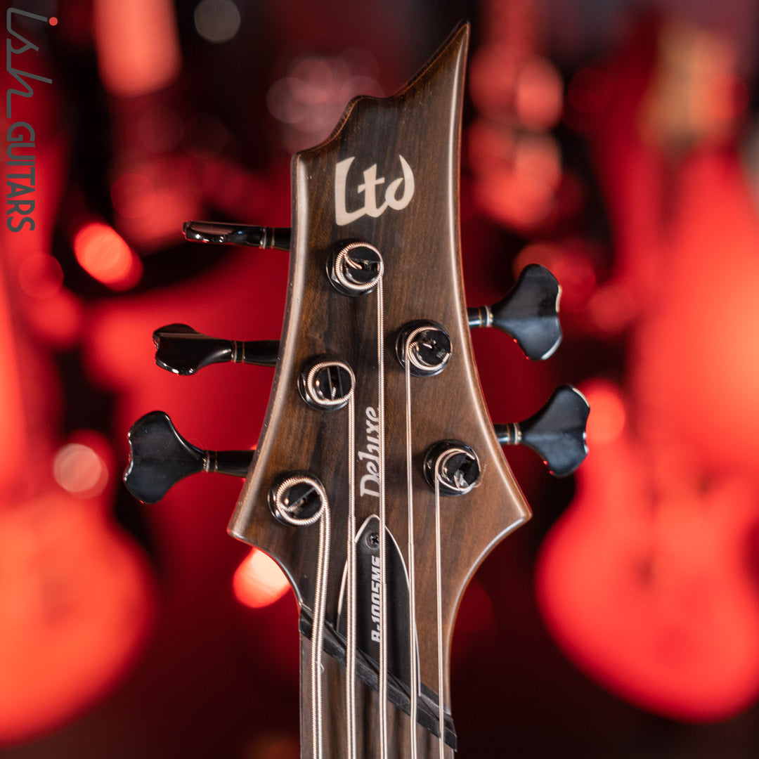 ESP LTD B1005MS Multi-Scale 5-String Bass Ziricote Top Natural Satin Demo