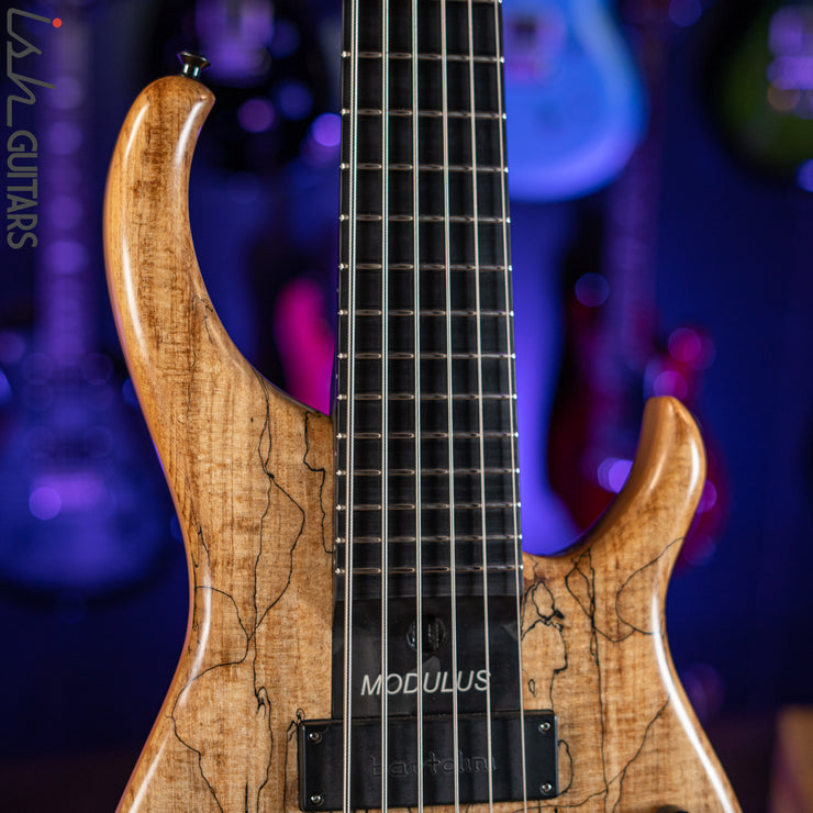 2006 Modulus Q6 Quantum 6-String Bass Natural Spalt Maple – Ish Guitars