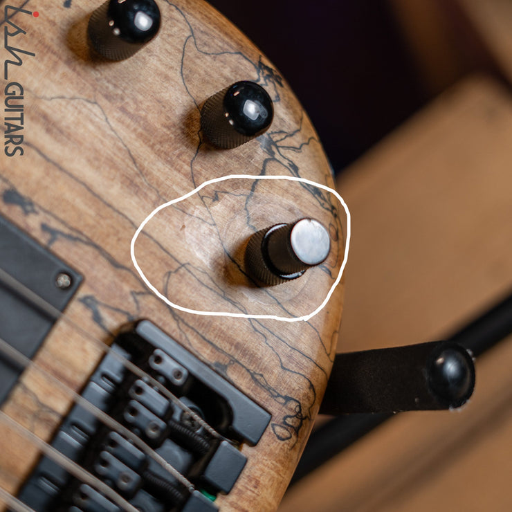 2006 Modulus Q6 Quantum 6-String Bass Natural Spalt Maple – Ish Guitars