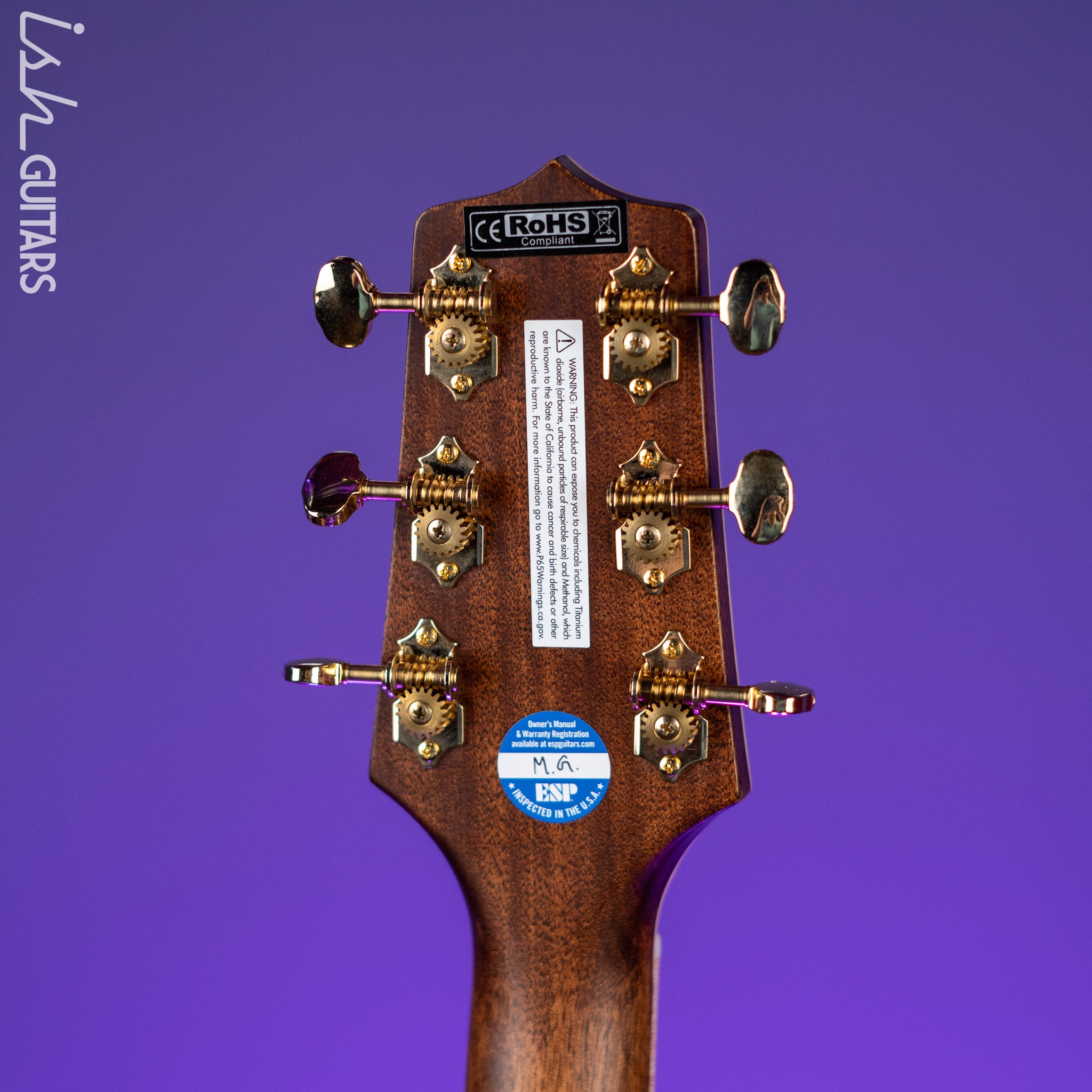 Takamine GN90CE-ZC Acoustic-Electric Guitar Natural – Ish Guitars