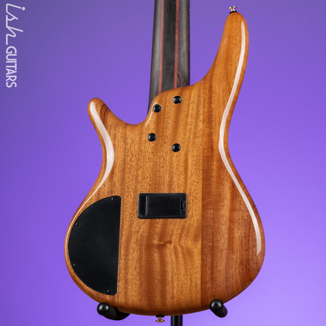 Ibanez Premium SR1605D 5-String Bass Autumn Sunset Sky Demo