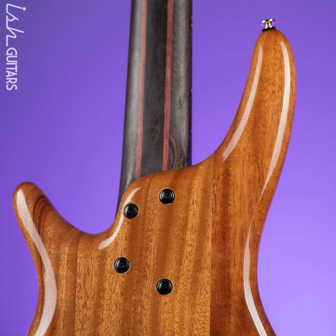 Ibanez Premium SR1605D 5-String Bass Autumn Sunset Sky Demo