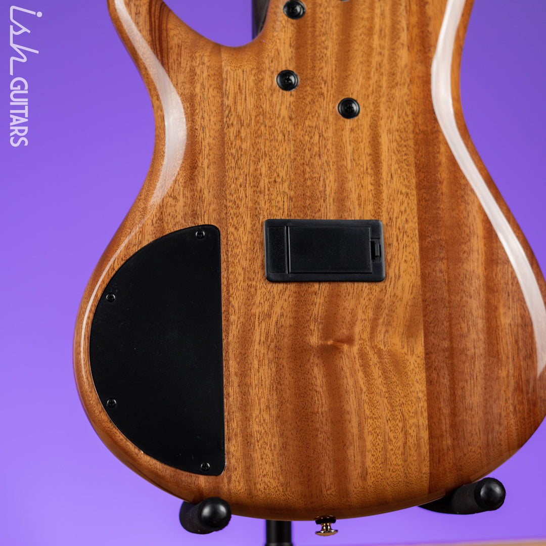 Ibanez Premium SR1605D 5-String Bass Autumn Sunset Sky Demo