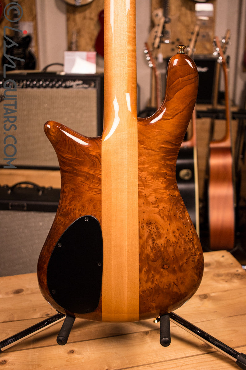 NAMM Spector NS-2 Solid Water Cured Redwood 7.4 Pounds
