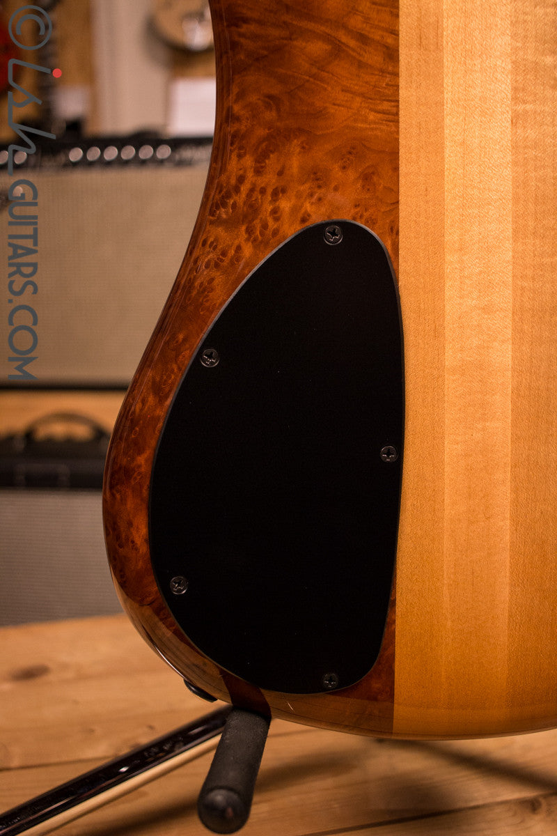 NAMM Spector NS-2 Solid Water Cured Redwood 7.4 Pounds